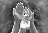Family Law Family Law